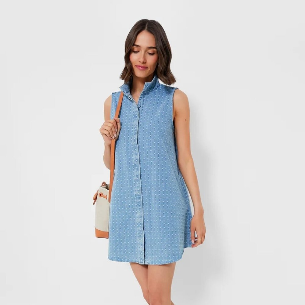 Tuckernuck Light Wash Denim Dot Sleeveless Charlie Dress